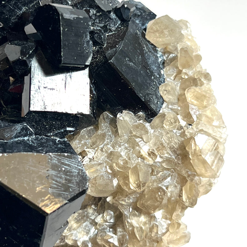 Self-Standing Lustrous Black Tourmaline with Smoky Quartz, from Erongo Mountain, Erongo Region, Namibia