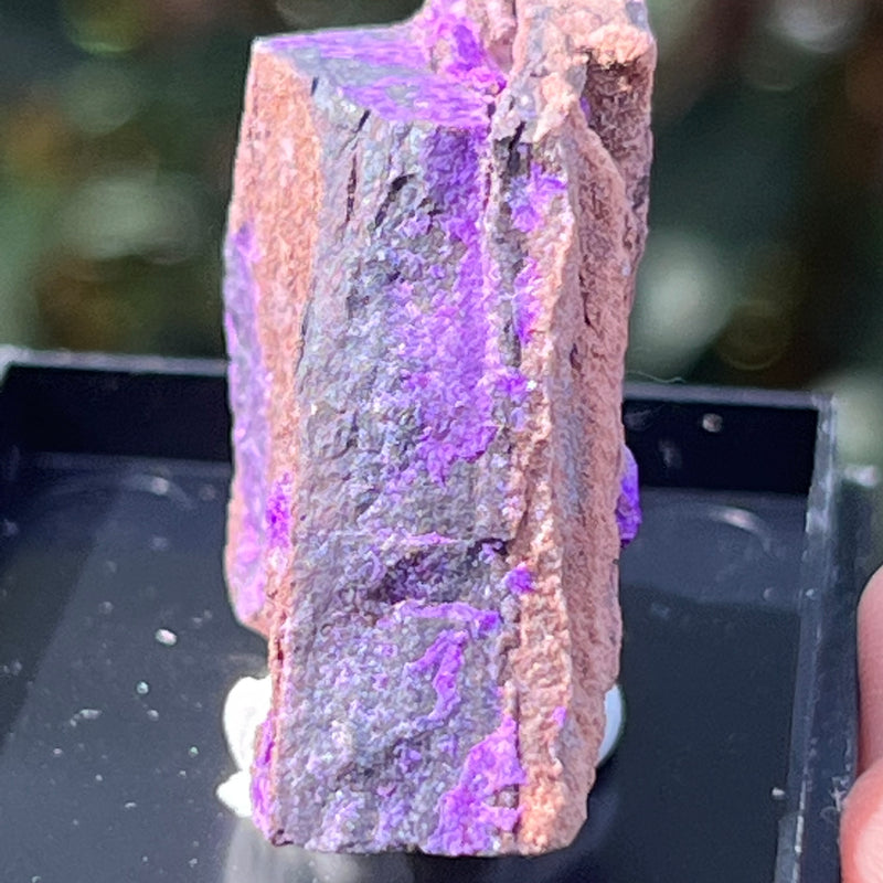 Sugilite from N’chwaning Mine III, Kalahari Manganese Field, Northern Cape, South Africa
