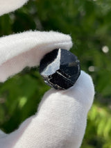 Set of Five Black Tourmaline Crystals, Crystals from Erongo Mountain, Erongo Region, Namibia