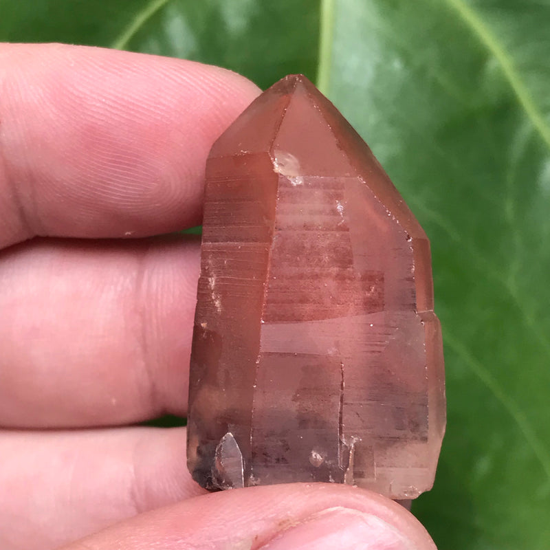 5 Ishuko Red Phantom Quartz, Hematite included Quartz from the Central Province of Zambia