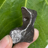“J” shaped COMPLETE GIBEON METEORITE, 52.4g Iron and Nickle Meteorite, from Namaland, Namibia
