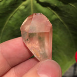 5 Ishuko Red Phantom Quartz, Hematite included Quartz from the Central Province of Zambia