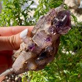 Shangaan Amethyst Cluster, From Zimbabwe