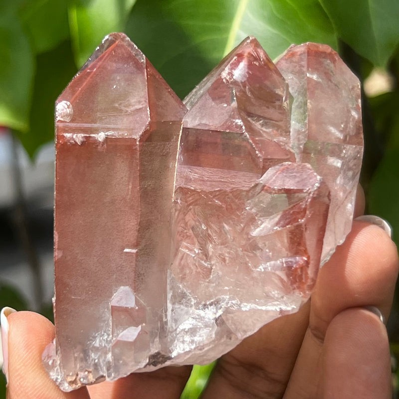 Gorgeous Clear Ishuko Red Phantom Quartz, Hematite included Quartz from the Central Province of Zambia