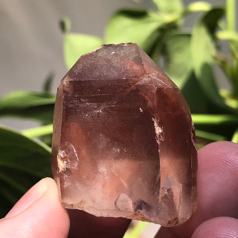 3 Ishuko Red Phantom Quartz, Hematite included Quartz from the Central Province of Zambia