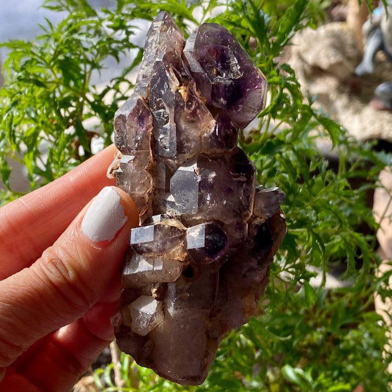 Shangaan Amethyst Cluster, From Zimbabwe