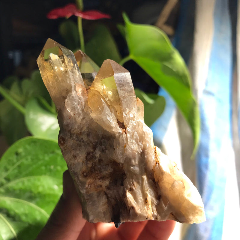 Honey Golden Kundalini Citrine, Congo, Lwena, Natural Citrine