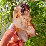 Shangaan Amethyst with Quartz From Zimbabwe