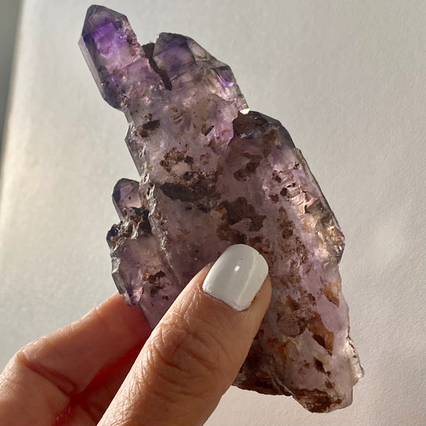 Multiple Terminated Shangaan Amethyst, From Zimbabwe