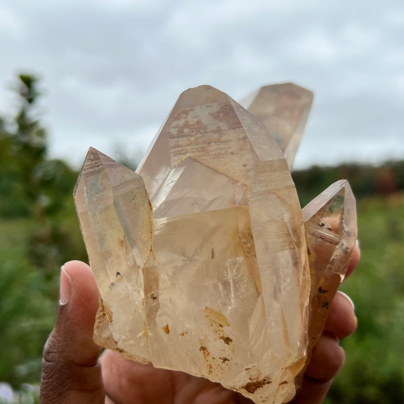 Phantom Discovery Quartz with Chlorite from Chongwe, Zambia