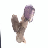 3" Multiple Terminated (mother and twins) deep purple amethyst scepter from Zimbabwe