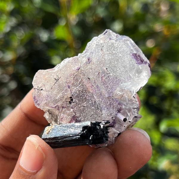Spinel Law Twin Fluorite with Black Tourmaline, Rondekop, Erongo Mountain, Erongo Region, Namibia