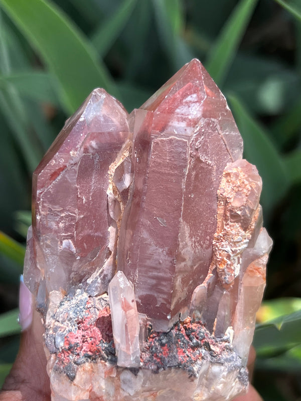 Ishuko Red Phantom Quartz, Hematite included Quartz from the Central Province of Zambia