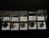 1 piece of a Malawi Specimen (Smoky Quartz, Argentine, Zircon), Mount Malosa, Zomba, Malawi, Africa