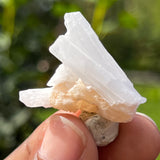 Natrolite, Mwajanga, Komolo, Masaisteppe, Tanzania