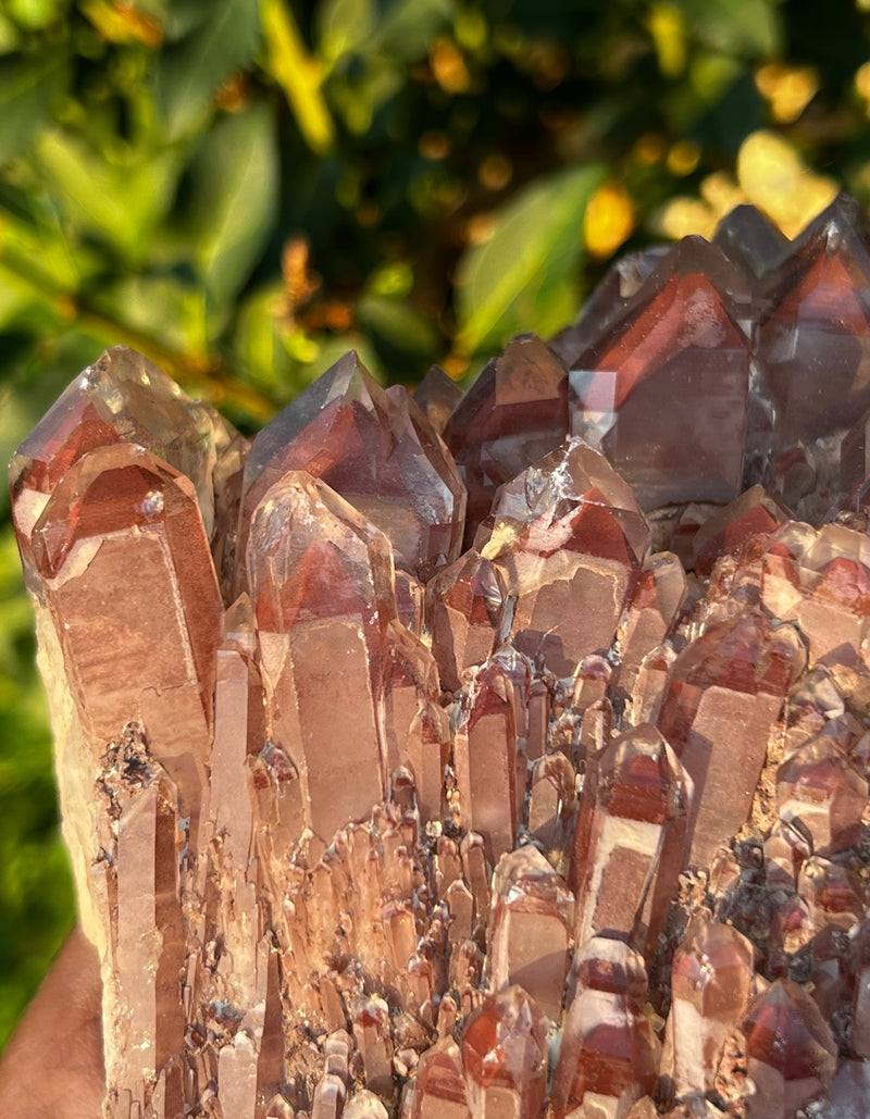 Huge Gorgeous Self-Standing Ishuko Red Phantom Quartz, Hematite included Quartz from the Central Province of Zambia