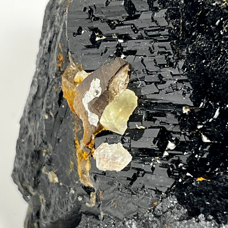 Lustrous Black Tourmaline Crystal, from Erongo Mountain, Erongo Region, Namibia