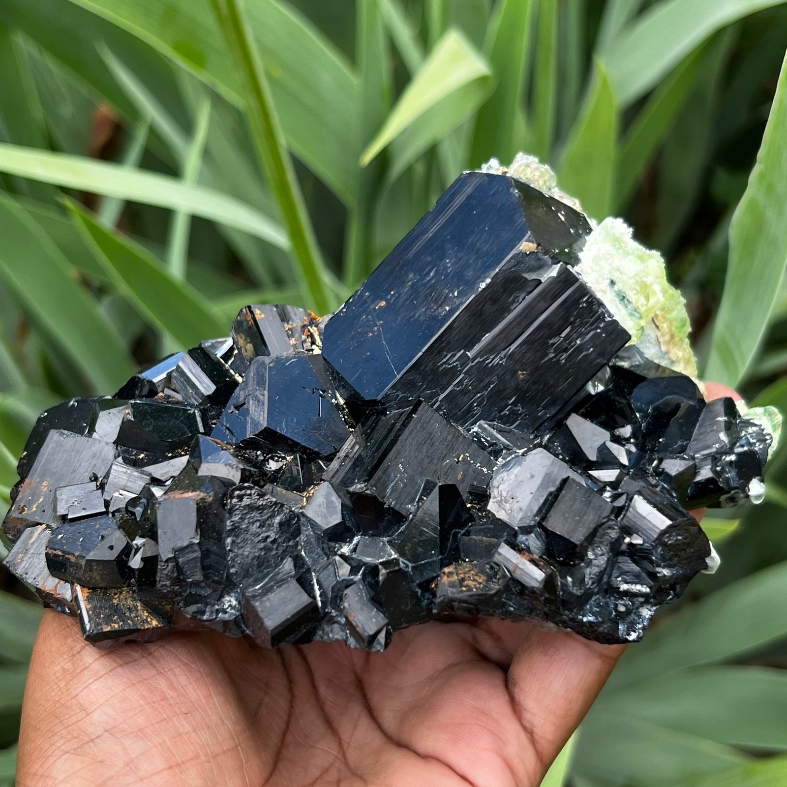 Lustrous Black Tourmaline with Hyalite, from Erongo Mountain