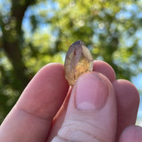 Over 1lb Lot of Kundalini Quartz Citrine, Democratic Republic of Congo, Lwena, Congo Citrine