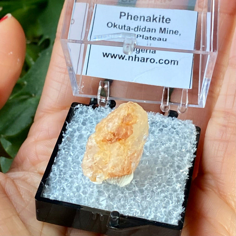 Phenakite Crystal, Natural Etching, Okuta-didan Mine (Shining Star) Mine, Jos Plateau, Nigeria