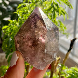 Shangaan Amethyst, From Zimbabwe