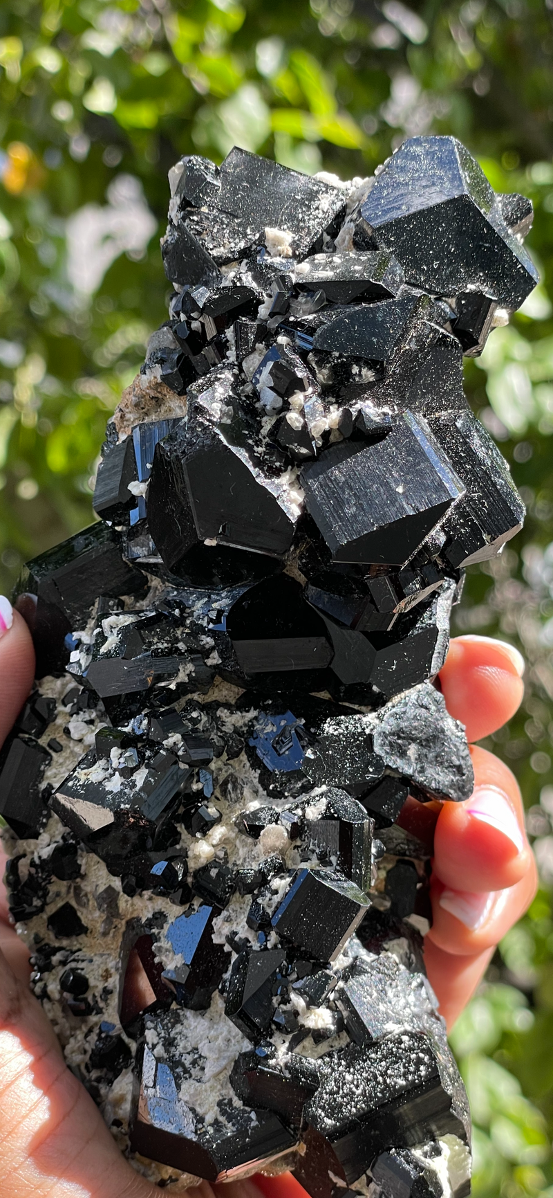 Black Tourmaline Crystal, from Erongo Mountain, Erongo Region, Namibia