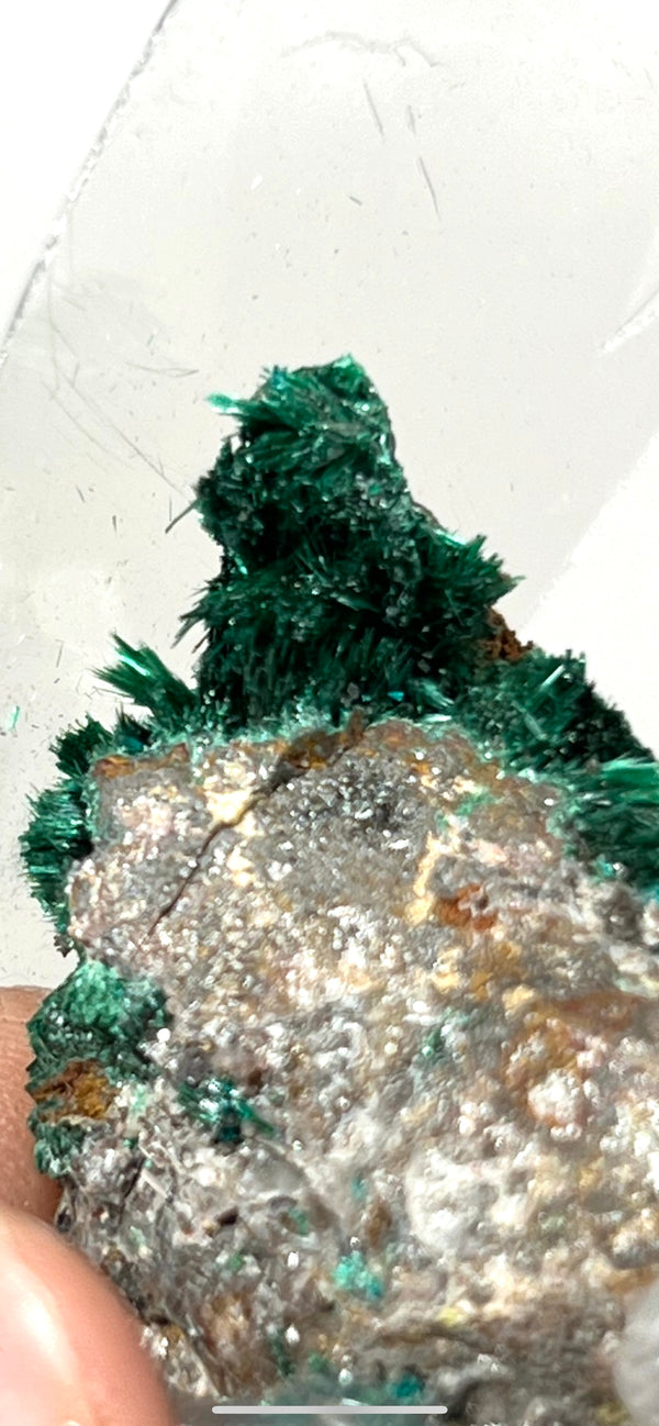Gorgeous Green Fibrous Malachite, Shamba, DR Congo