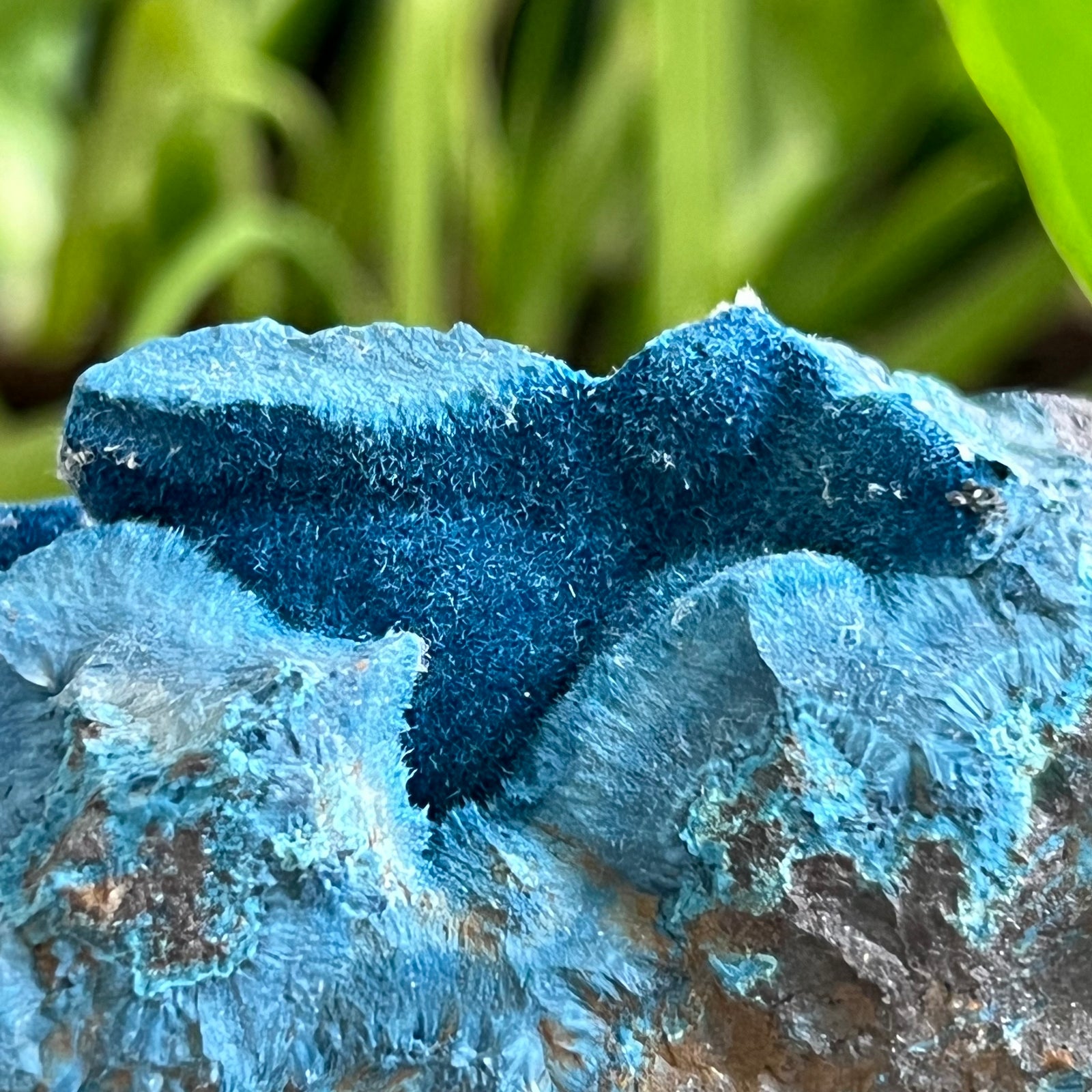 Deep Blue Fibrous Blue Shattuckite, Mesopotamia Copper Valley