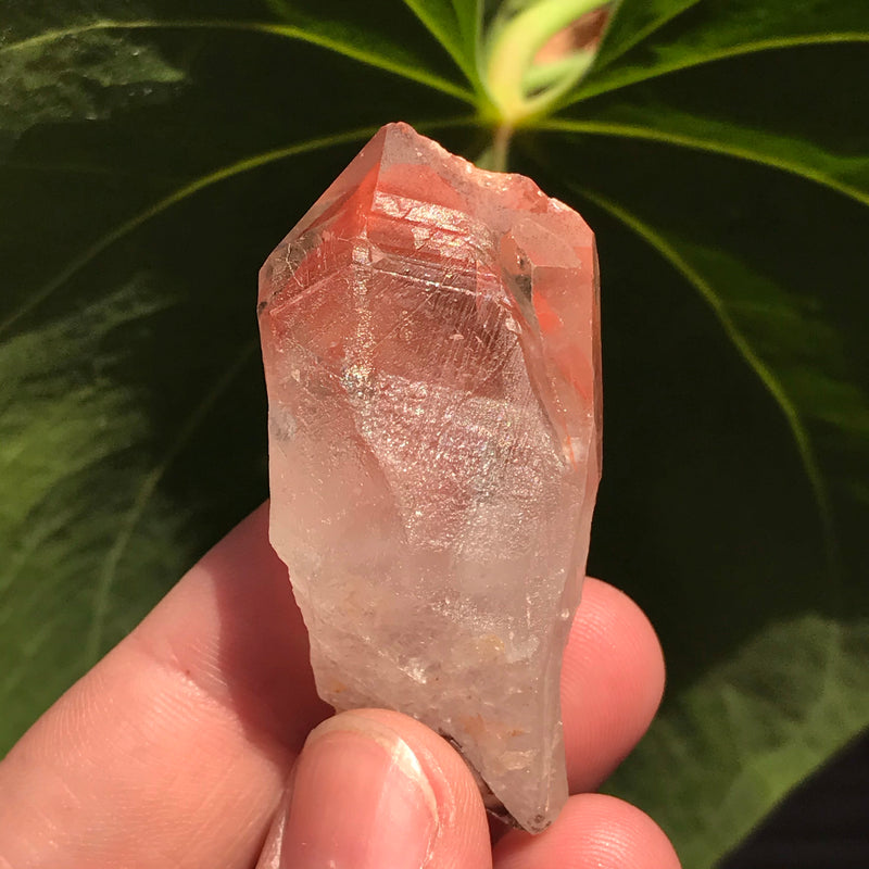 3 Ishuko Red Phantom Quartz, Hematite included Quartz from the Central Province of Zambia