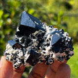 Lustrous Black Tourmaline Crystal with Feldspar, from Erongo Mountain, Erongo Region, Namibia