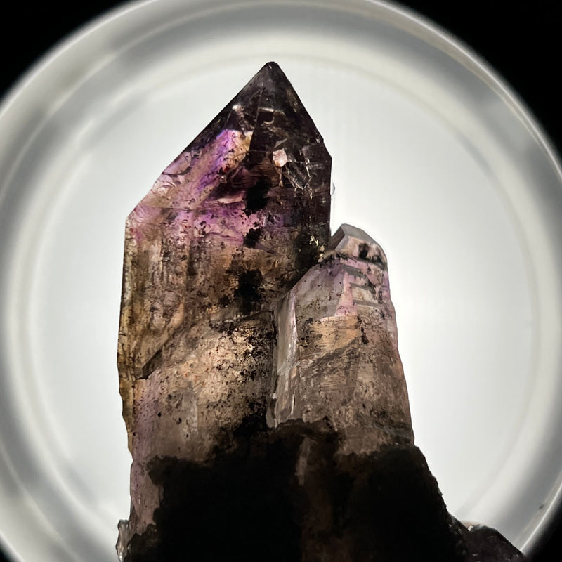 Hugging Twin Smokey Quartz, Shangaan Amethyst Crystal From The Chibuku Mine, Gezani Communal Land, Zimbabwe