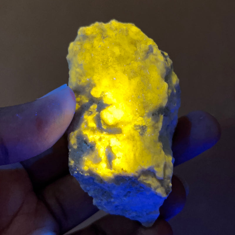 Wernerite, Fluorescent Mineral, Grenville-Sur-la-Rouge, Quebec
