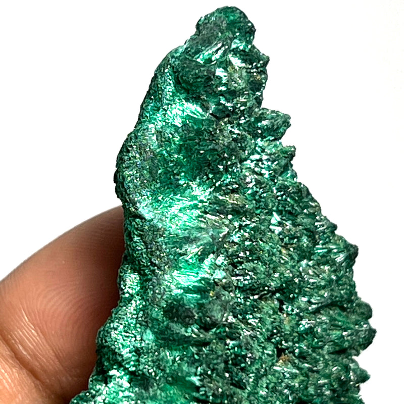 Gorgeous Green Fibrous Malachite, Miringi Mine, Katanga, DR Congo