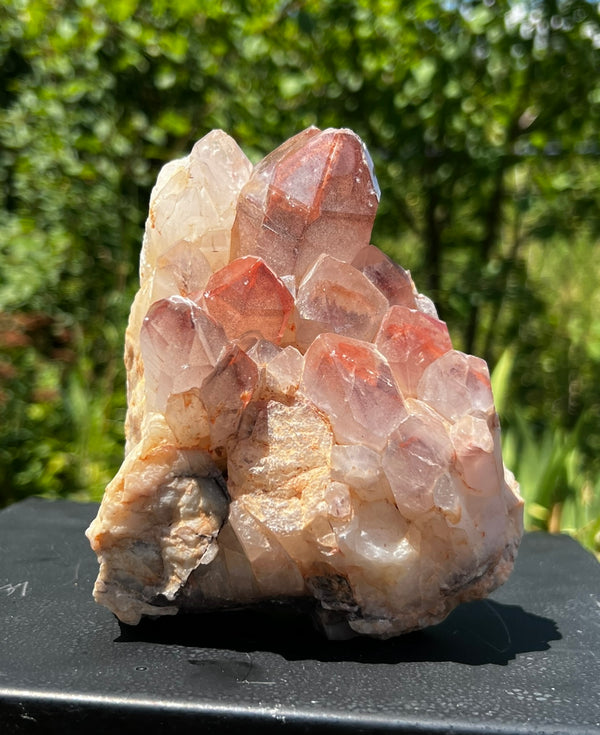 Gorgeous Self-Standing Ishuko Red Phantom Quartz, Hematite included Quartz from the Central Province of Zambia