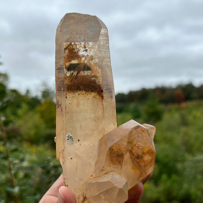 Phantom Discovery Quartz with Chlorite from Chongwe, Zambia