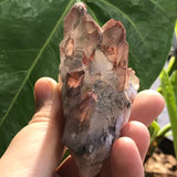 Self Standing Ishuko Red Phantom Quartz Cluster on White Quartz Base, Hematite included Quartz from the Central Province of Zambia