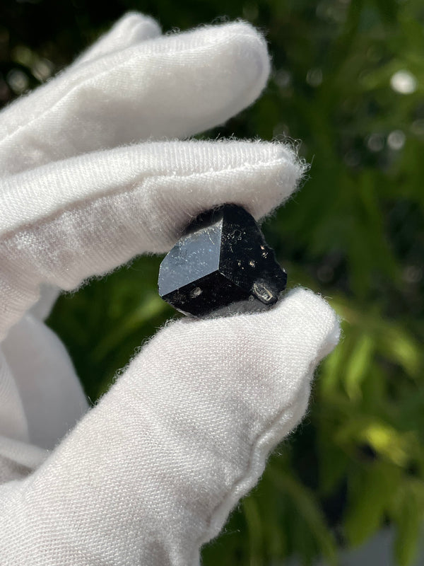 Set of Five Black Tourmaline Crystals, Crystals from Erongo Mountain, Erongo Region, Namibia