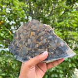 7.8” Pietersite Slice from Outjo District, Kunene Region, Namibia