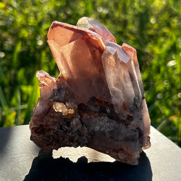 Gorgeous Self-Standing Ishuko Red Phantom Quartz, Hematite included Quartz from the Central Province of Zambia