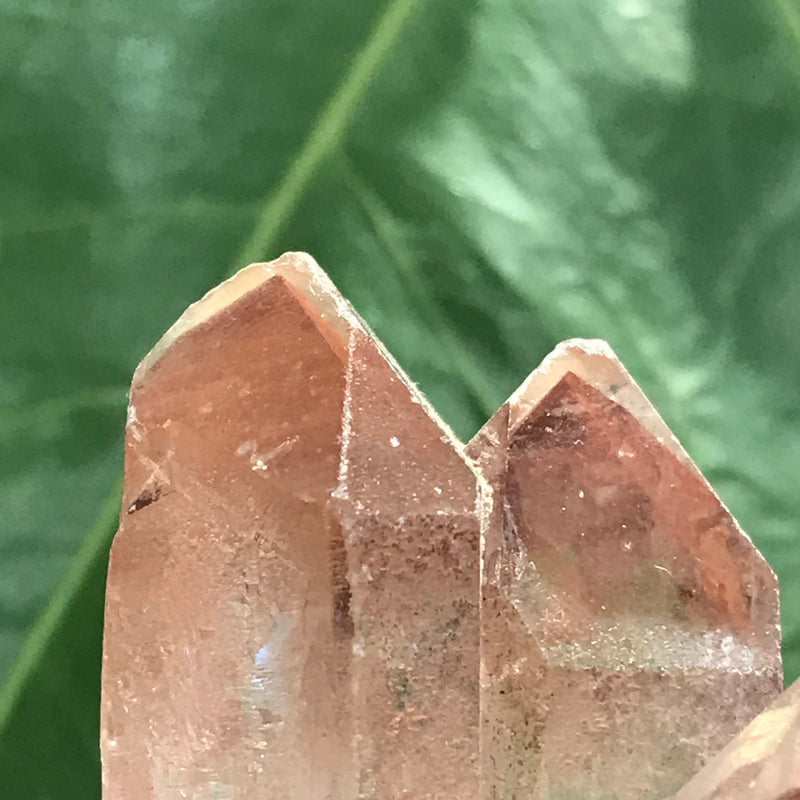 Ishuko Red Phantom Quartz, Hematite included Quartz from the Central Province of Zambia