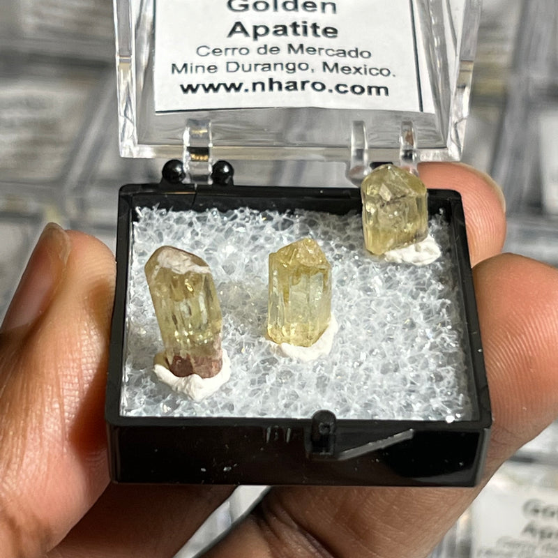 3-pack of Golden Apatite, Cerro de Mercado Mine, Durango, Mexico