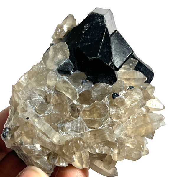 Lustrous Black Tourmaline and Smoky Quartz Crystal, from Erongo Mountain, Erongo Region, Namibia