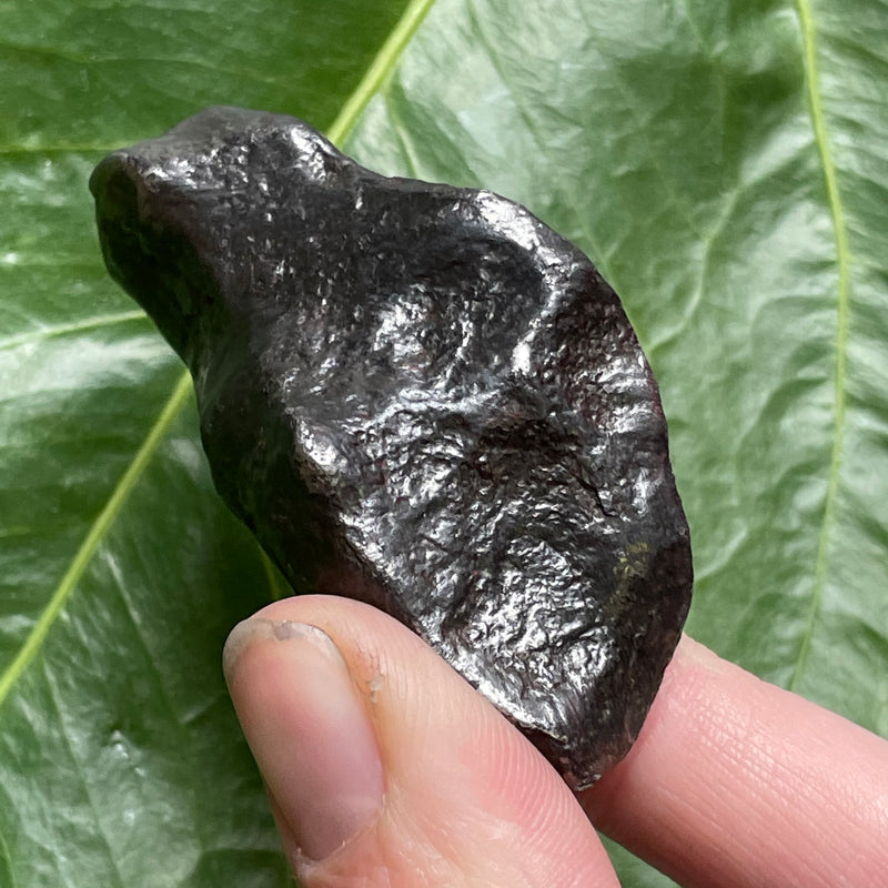 Sculptural COMPLETE GIBEON METEORITE, Iron and Nickle Meteorite from Namaland, Namibia.