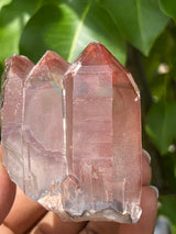 Gorgeous Clear Ishuko Red Phantom Quartz, Hematite included Quartz from the Central Province of Zambia
