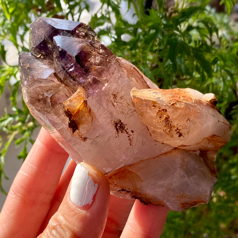 Shangaan Amethyst with Quartz From Zimbabwe