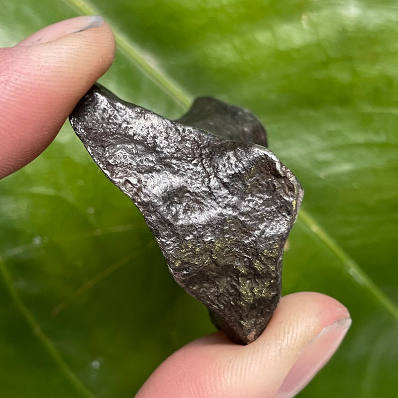 GIBEON METEORITE, 69.9g Iron and nickel Meteorite from Namaland, Namibia