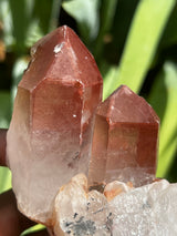 Gorgeous Ishuko Red Phantom Quartz, Hematite included Quartz from the Central Province of Zambia