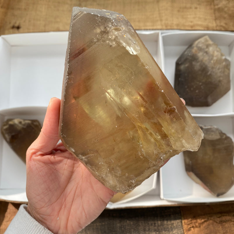 6 Pieces of Natural Zambian Citrine, Wholesale Flat