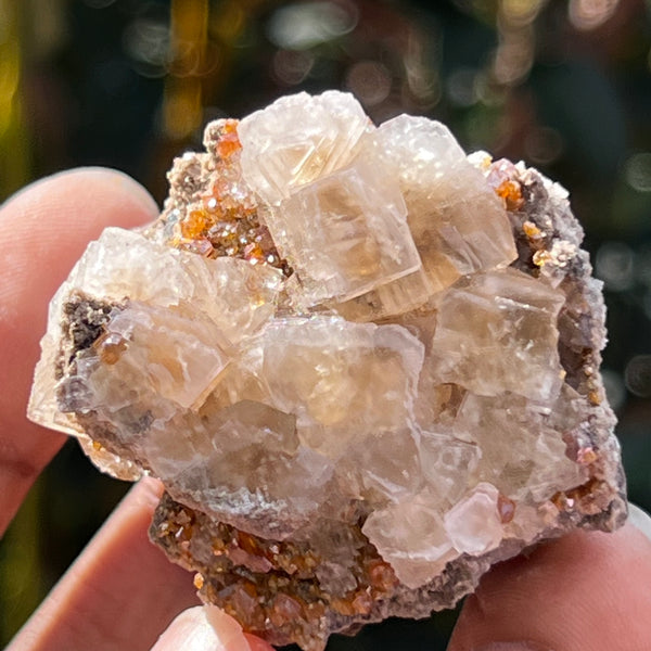 Gorgeous Fluorite Speciman, Flamboro Quarry, Dundas, Ontario, Canada