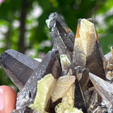 Gorgeous Self-Standing Smoky Quartz with Black Tourmaline and Hyalite, Rondekop, Erongo Mountain, Erongo Region, Namibia